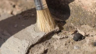 Odkryto jedno z największych cmentarzysk megalitycznych w Polsce