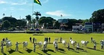 Abertura oficial da ExpoZebu neste sbado ter 'presena' de Bolsonaro