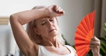 Menopausa: quatro sementes que podem aliviar os sintomas