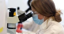 Mais de 6 mil cientistas brasileiros deixaram o país nos últimos anos