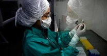 COVID-19: Brasil terreno frtil para a desinformao