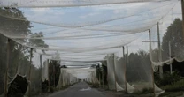 Як у 2022-му: для чого армія РФ перегруповує війська?  «Вони готові до останнього, вирішального бою за решту Донецької області. Це буде дуже криваво»
