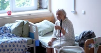 Що змінюється для ВПО: житло, догляд і збереження соцвиплат Завершується термін ідентифікації для переселенців. Що потрібно зробити, щоб не втратити виплати?