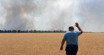 Втрата врожаю на понад мільярд гривень. Фермери Херсонщини просять про допомогу Як це пов'язано із зруйнуванням російськими військами Каховської ГЕС?