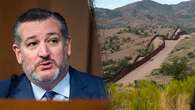 'Serious consequences': Ted Cruz delivers strong warning to illegal immigrants fleeing Border Patrol