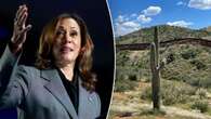 ‘Political stunt’: Critics dismiss Harris’ expected Arizona border visit as immigration remains top issue