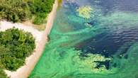 Florida Gov. DeSantis dedicates millions to fighting harmful blue-green algae blooms