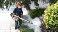 Deadly mosquito-borne virus sparks CDC travel alert — could it reach the US?