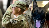 Fallujah vet turns Medal of Heroism into a healing mission for fellow warriors with service dogs program