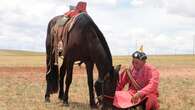 New study reveals how humans harnessed the lineage of ancient horses, scientists say