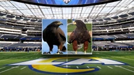 SoFi stadium hawk stolen during Rams game located, second hawk remains missing