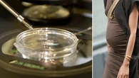 Skin DNA breakthrough could let 60-year-old women have genetically related kids