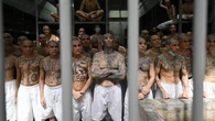 ICE swoops in on MS-13 kingpin hiding in America's heartland after investigation