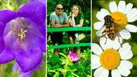 Gardens outside Paris make spectacular impression on tourists as flowers turn heads and calm souls