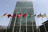 Former high-level United Nations officials to launch 'DOGE-UN' to highlight agency inefficiencies