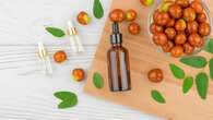 Skin, hair benefits of jojoba oil, widely used in cosmetics, according to expert