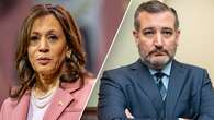 VP Harris is 'actively encouraging' illegal immigration in coordination with Mexico, Cruz charges