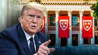 Trump ignites conservative backlash after opening door to 600,000 Chinese students: 'What is this madness?'