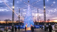 Iconic DC landmark unveils first Christmas tree as part of push to revive holiday spirit