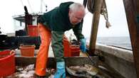 Regulators reacts as haddock, an Atlantic staple staple, continues to be overfished