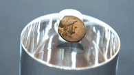 Teen stumbles on mysterious coin from legendary city, puzzling archaeologists over its journey