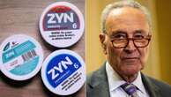 Conservative groups launch 6-figure campaign to defeat Dem crackdown on Zyn: 'Save our pouches'