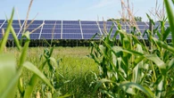 The disturbing connection between UN's green energy push and illegal immigration