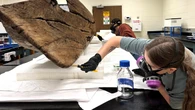 Mysterious wooden canoe found after Hurricane Ian still baffles experts three years later