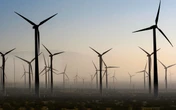 Gargantuan ‘bird cemeteries’ in Burgum’s crosshairs as DOI looks to curb green wind projects
