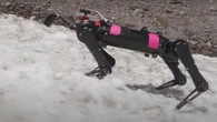 Crazy-strong robotic dogs gear up for moon mission