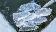 5 wacky health trends that have gone viral