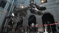 Christie's pulls T. rex Shen from auction following questions about skeleton: report