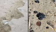 Mysterious tar balls wash up on New Jersey beaches