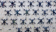 I'm a drone CEO. Our skies are dangerously exposed — here's the solution
