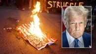 Trump vows consequences for 'animals' burning American flags in LA, slams those waving other countries' flags