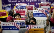 Will President Trump protect the Christian Afghan refugees who fled here to escape martyrdom?