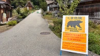 State Department warns Americans in Japan as deadly bear attacks kill 13 people since April: 'Be diligent'