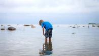 Death confirmed from rare and deadly 'brain-eating amoeba' in southern lake