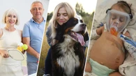 Pickleball boosts seniors' mood, drug could extend dogs' lives and boy needs life-saving liver