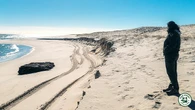 Long-lost shipwreck resurfaces on Jersey Shore as officials warn against disturbing the ruins