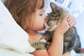 Cat owners could be at higher risk of schizophrenia, study suggests, but more research needed