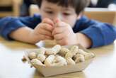 Feeding peanuts to babies could prevent allergies through the teen years, study finds