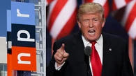 'Bold and fearless': Trump launches new wave of judicial nominations