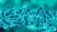 First death reported in Upper East Side Legionnaires' disease outbreak as cases rise to 67