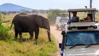 Urgent advisory for safari destination warns of 'terrorist violence' and risk of 'unrest'