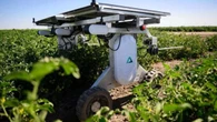 Solar-powered robot zaps weeds without chemicals