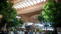 Nature views, therapy llamas and 'impeccable' bathrooms give boost to 'best' airports