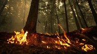 Canadian firefighters making progress in battle against wildfires, thousands still evacuated from their homes