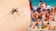 Dengue fever cases rising in popular spring break locations, CDC alerts