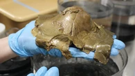 Mysterious 'golden orb' discovered by researchers on Alaskan seafloor